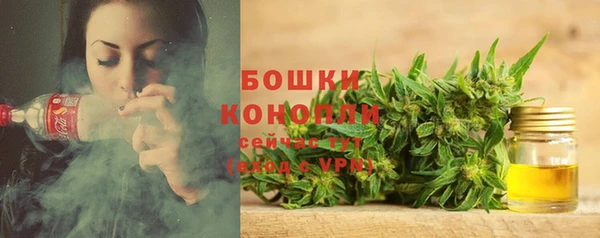 винт Михайлов