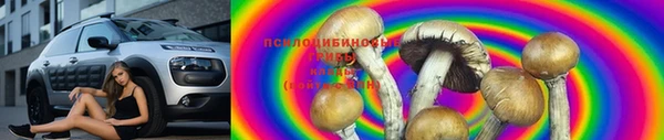 крисы Балабаново