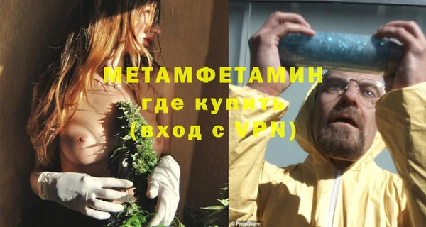 шишки Михайловск