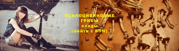 метадон Арсеньев